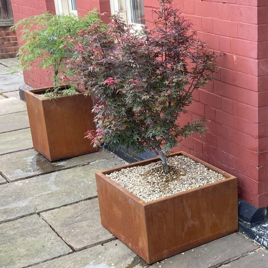 Corten steel cube planters in a modern garden design