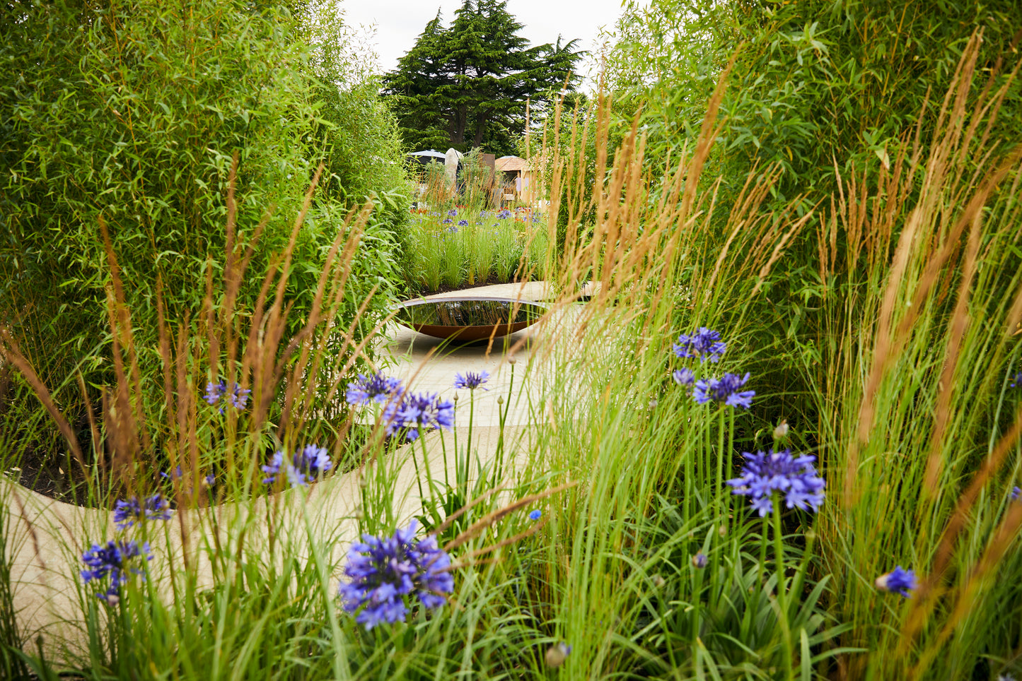 Garden scene with tall grasses and purple flowers, featuring a Corten Steel Curved Water Bowl on a stone path.